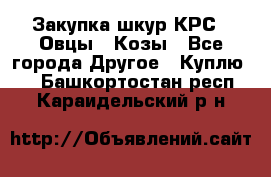 Закупка шкур КРС , Овцы , Козы - Все города Другое » Куплю   . Башкортостан респ.,Караидельский р-н